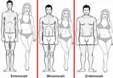 Basic But Important Body Types